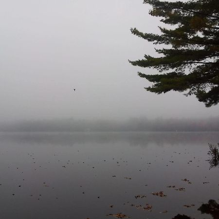 Black Lake Cabins Torrance Екстериор снимка