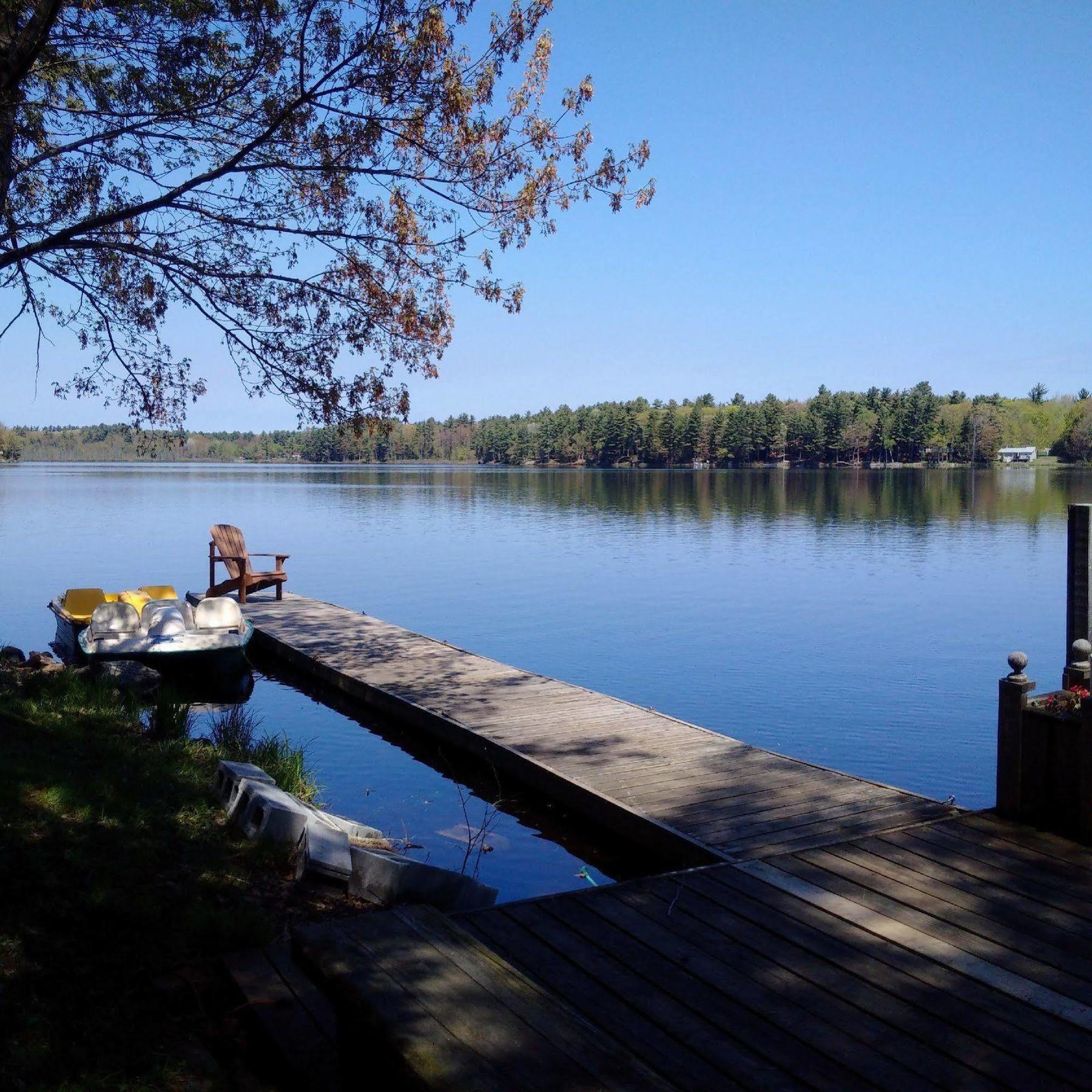 Black Lake Cabins Torrance Екстериор снимка