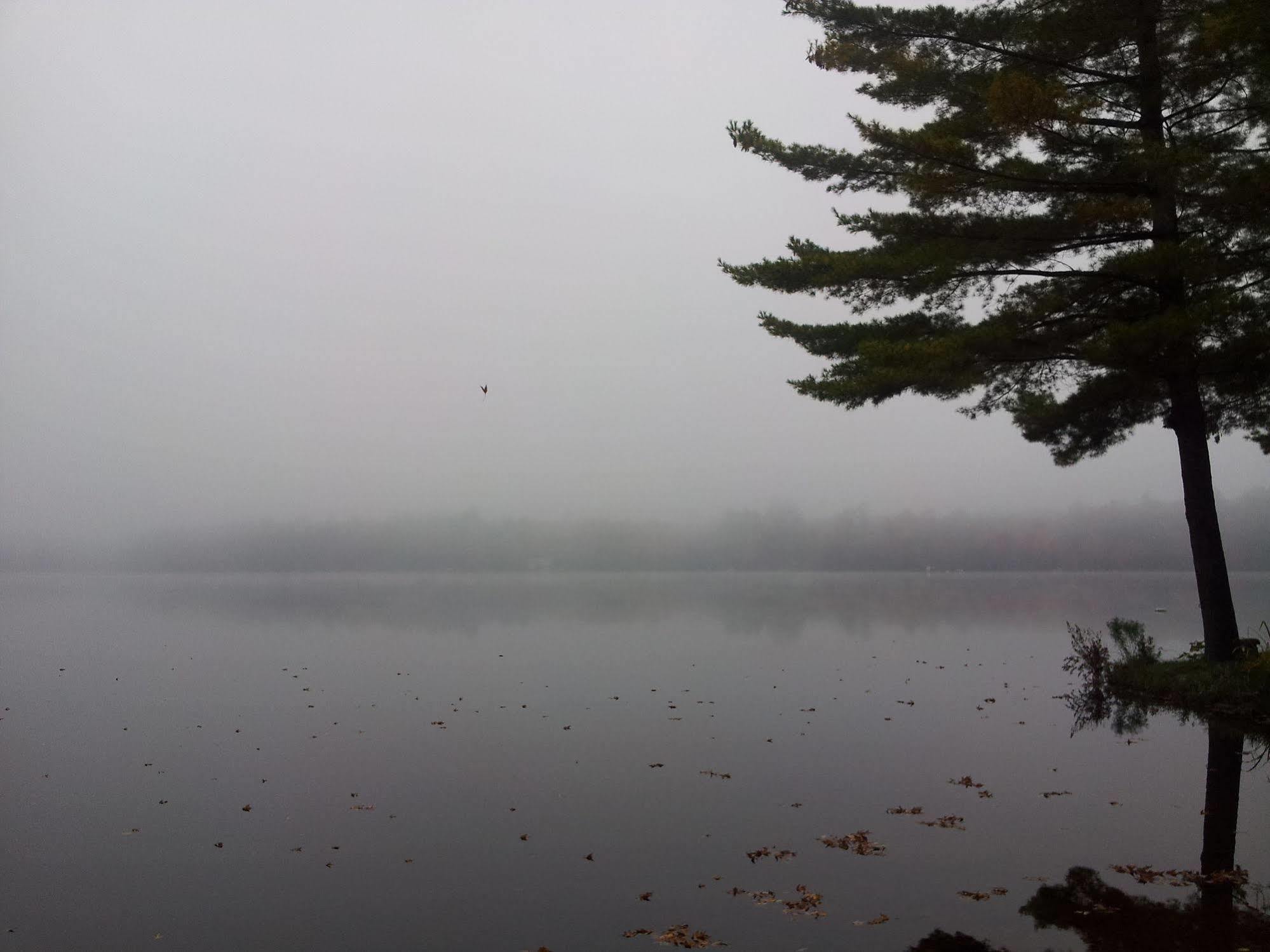 Black Lake Cabins Torrance Екстериор снимка